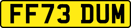 FF73DUM