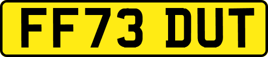 FF73DUT