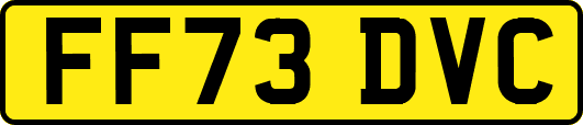 FF73DVC