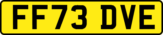 FF73DVE