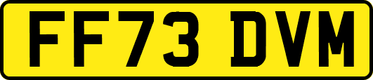 FF73DVM