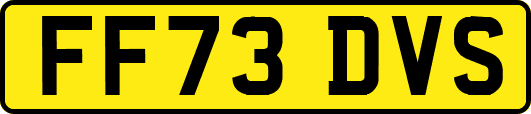 FF73DVS
