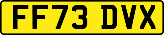FF73DVX