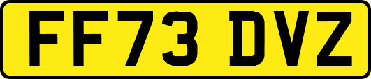 FF73DVZ