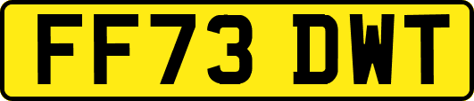 FF73DWT