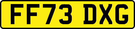 FF73DXG