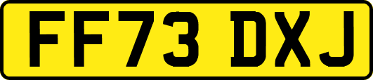 FF73DXJ