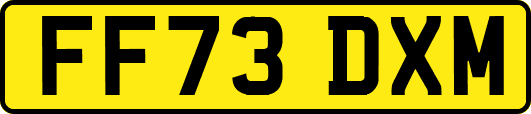 FF73DXM