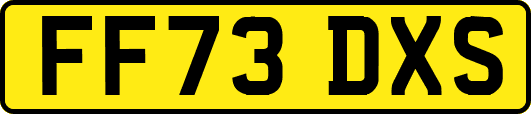 FF73DXS