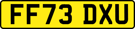 FF73DXU