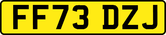 FF73DZJ