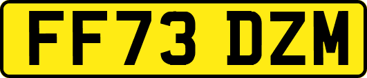 FF73DZM