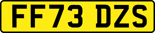 FF73DZS