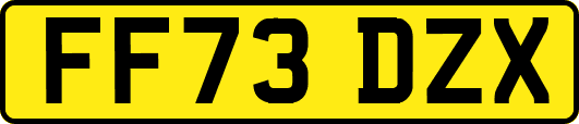 FF73DZX