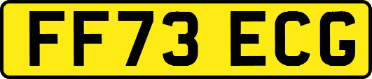 FF73ECG