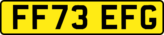FF73EFG