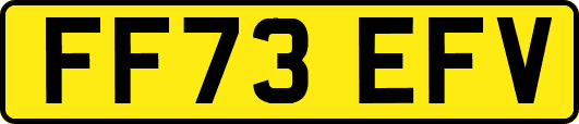 FF73EFV