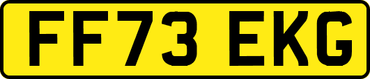 FF73EKG