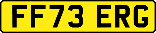 FF73ERG