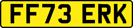 FF73ERK