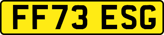FF73ESG