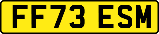 FF73ESM