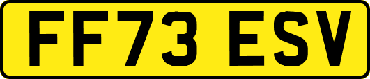 FF73ESV