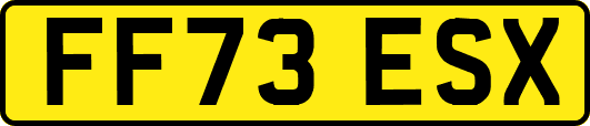 FF73ESX