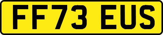 FF73EUS