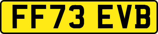 FF73EVB