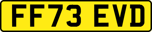 FF73EVD