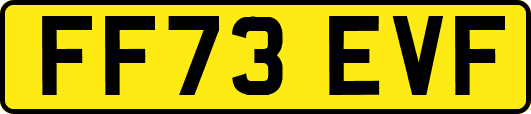 FF73EVF