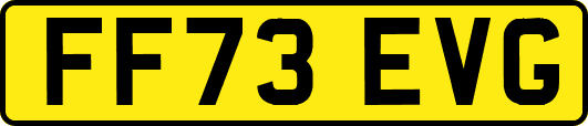 FF73EVG