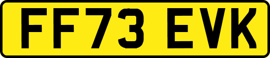 FF73EVK