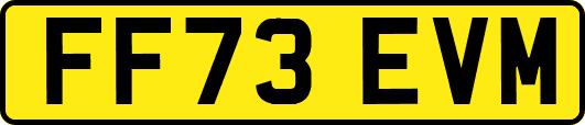 FF73EVM