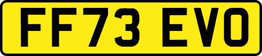 FF73EVO