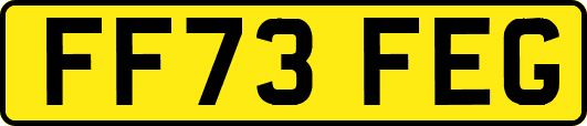 FF73FEG