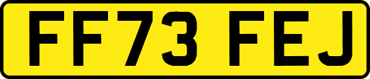 FF73FEJ