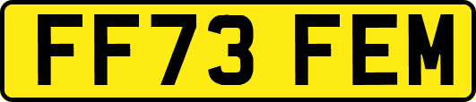 FF73FEM