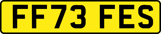 FF73FES
