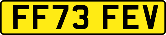 FF73FEV
