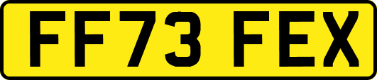 FF73FEX