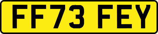 FF73FEY