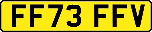 FF73FFV
