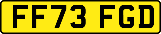 FF73FGD