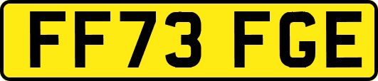 FF73FGE