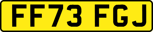 FF73FGJ