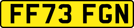 FF73FGN