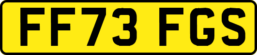 FF73FGS