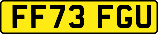 FF73FGU
